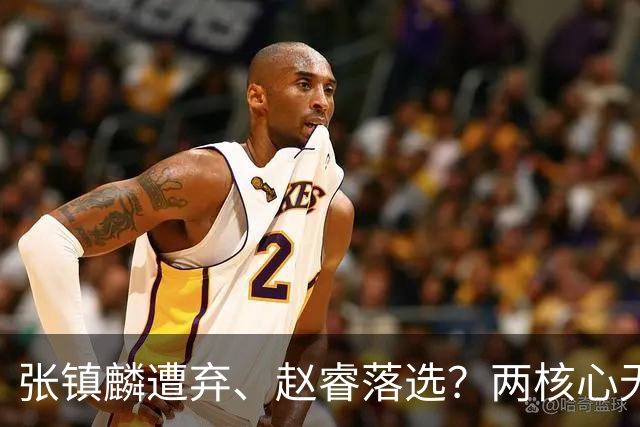 张镇麟遭弃、赵睿落选？两核心无缘国家队，中国男篮大换血为哪般